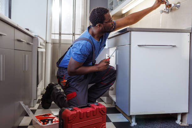 Best Residential Plumbing Services  in Newark, IL